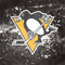 NHL Pittsburgh Penguins Frozen Playstation 3 & PS3 Skin